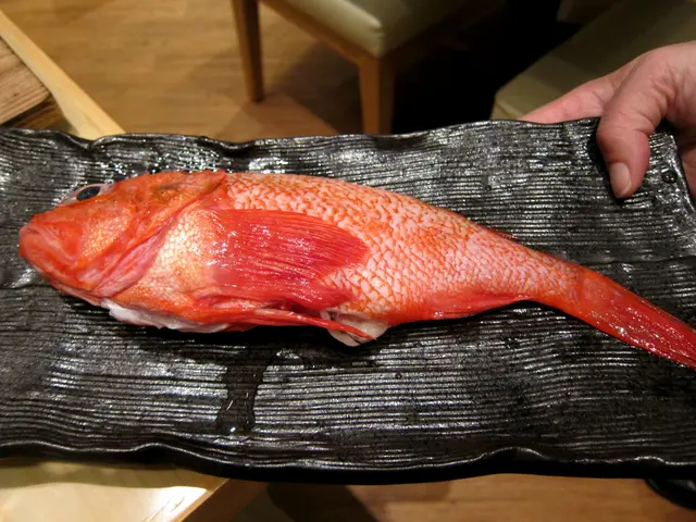 喜之次(鹽燒前)