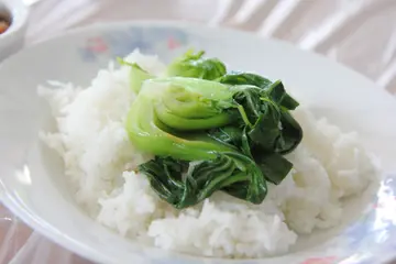 时菜牛腩饭