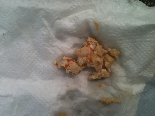 餐牌上的「雞肉」，其實是免治豬肉，免治份量也很少。