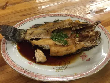 油浸荀壳🐟