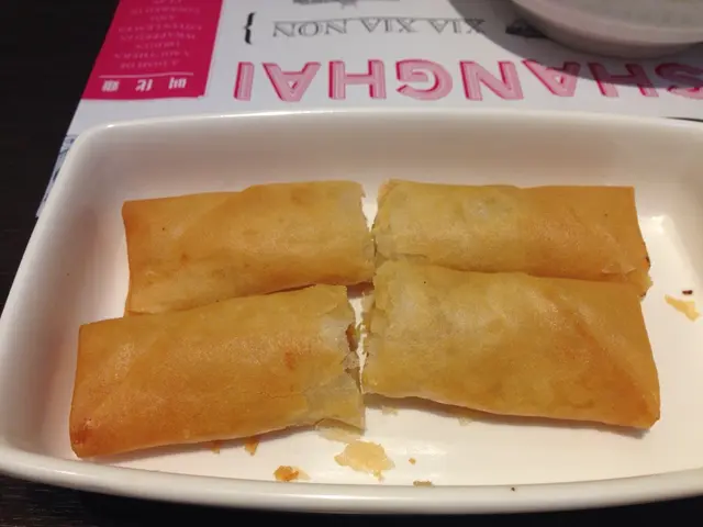 春巷即炸，熱辣辣脆卜卜，可因素菜春巷，味道過淡。