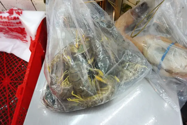 泰國瀨尿蝦皇