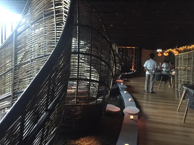 Jungle zone - lotus shape 座椅