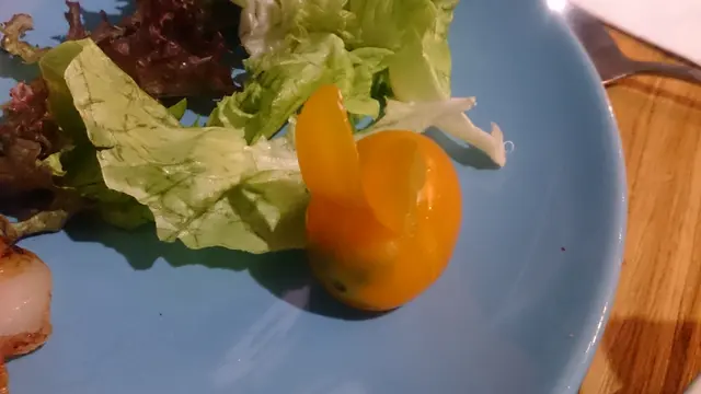 兔仔