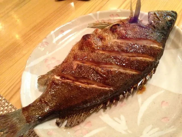 🐟🐟🐟🐟🐟🐟🐟