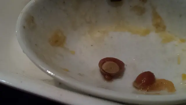 海鮮扇貝香檳湯-橙/檸檬核