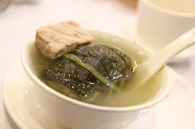 荷包白鱔湯