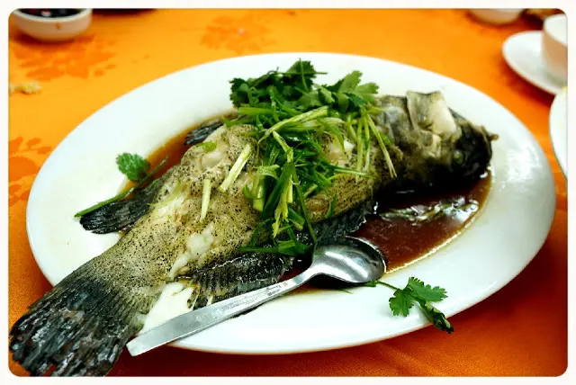 清蒸海斑