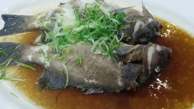 清蒸雙海石斑