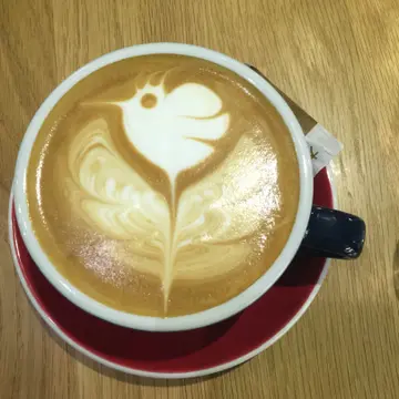 Coffee