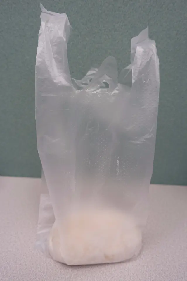 只有簡單用膠袋盛載，並沒有用上任何東西再包裹糯米糍