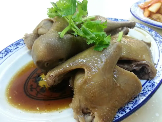 乳鴿