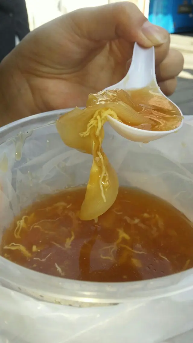魚翅對辨