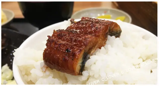 燒鰻魚飯