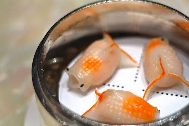 藍天使蝦金魚餃