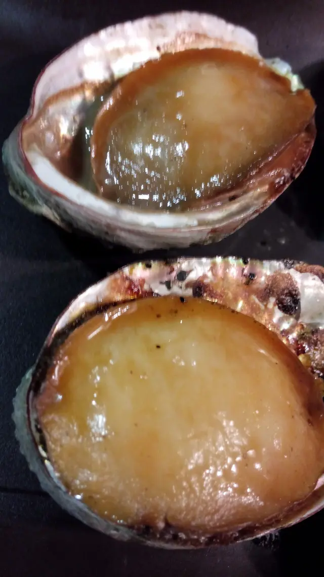 鮑魚