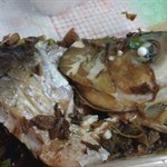 2/3魚頭既鯇魚