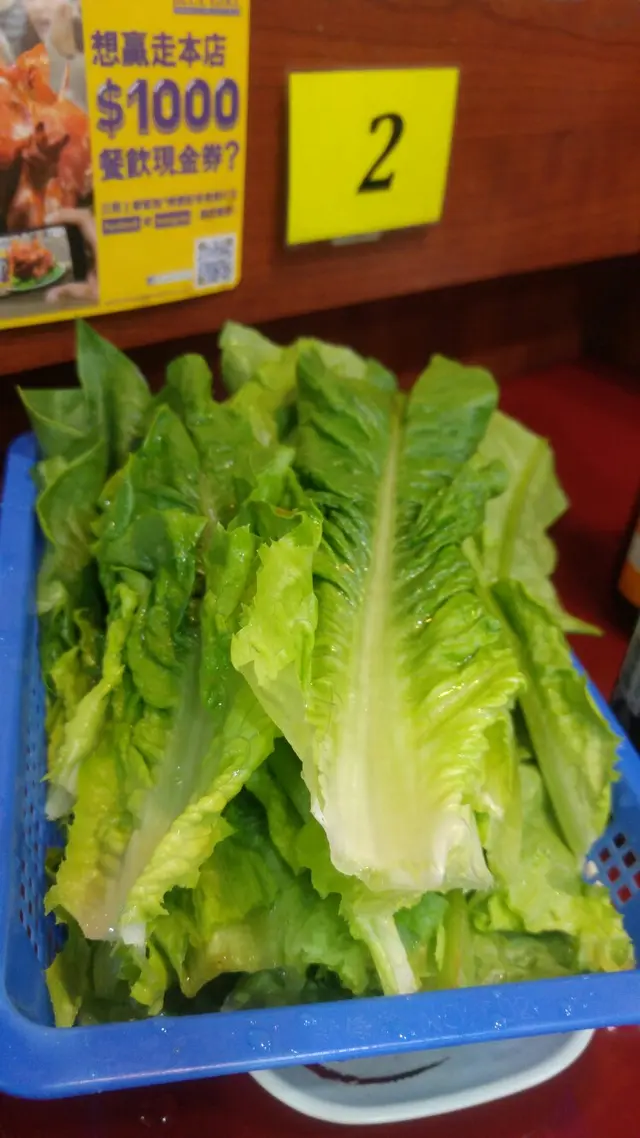 新鮮生菜