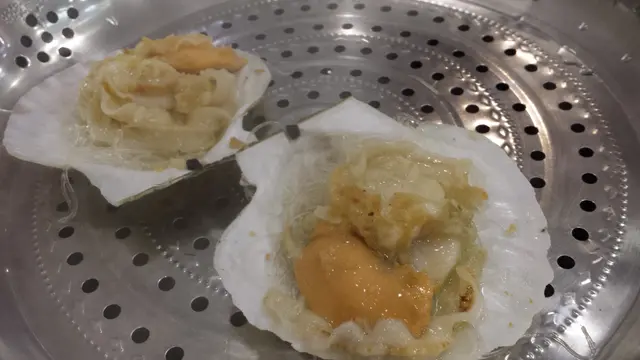 日本大元貝