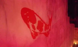 牆身印上多條活潑的鯉魚