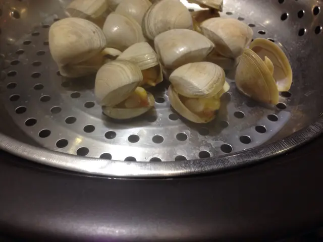 鑽石蜆