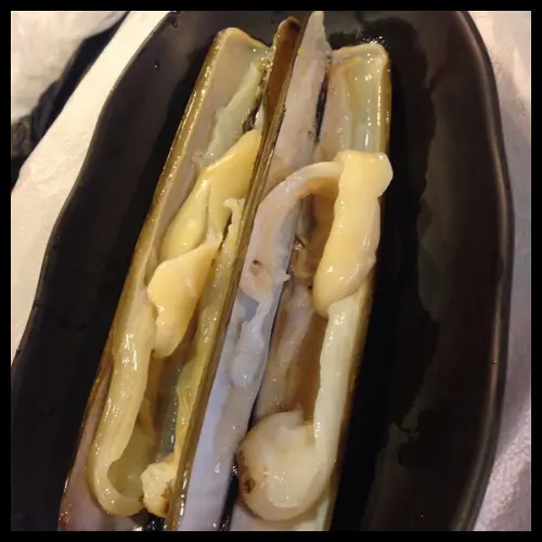 蟶子皇