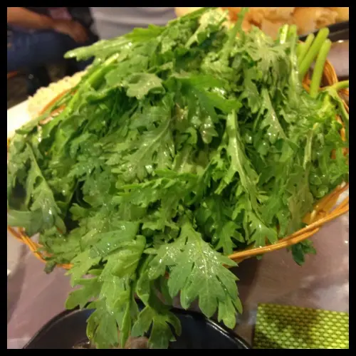 皇帝菜
