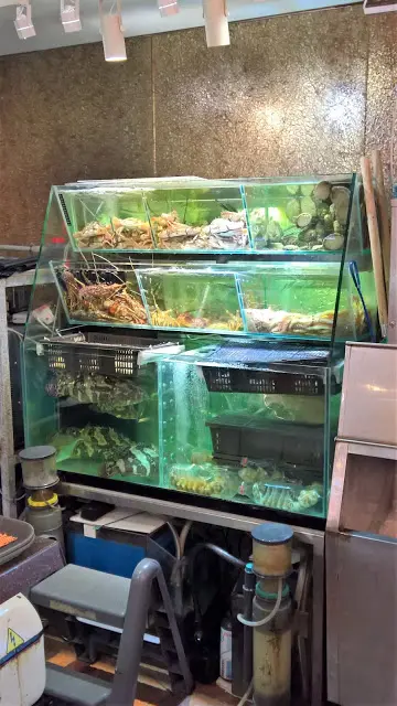 另一邊還有小型魚缸放了龍蝦、鮑魚、石班等