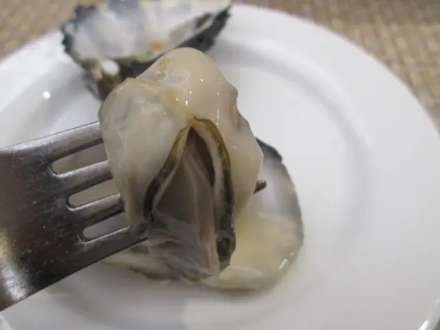 嚐出蠔鮮
