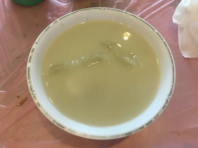 冬瓜魚湯