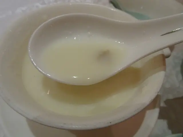 杏汁燉白肺湯
