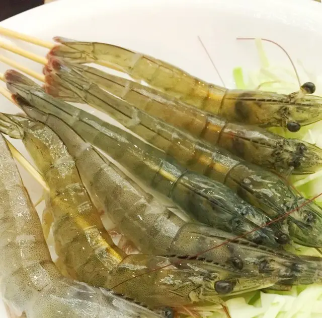 任食火鍋未見過的大海蝦