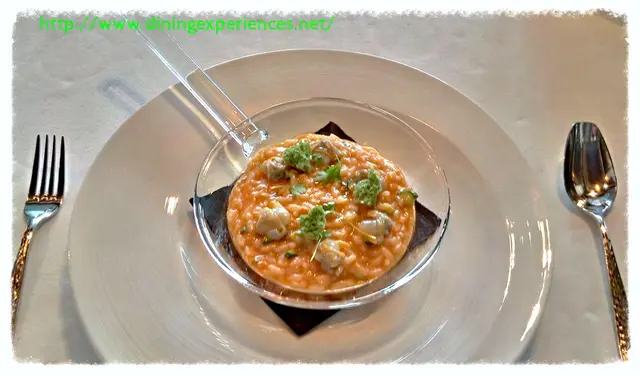 Risotto (sea urchin risotto with courgette flower & sea weed rock