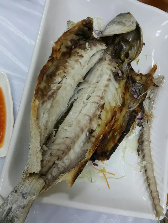 生燒烏頭