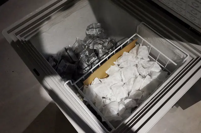 雪米糍同Fruttato Gelato