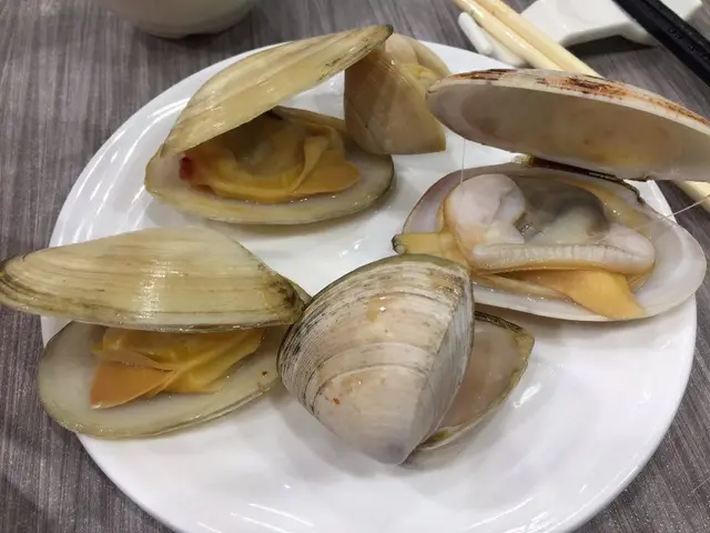 貝殼盛盒