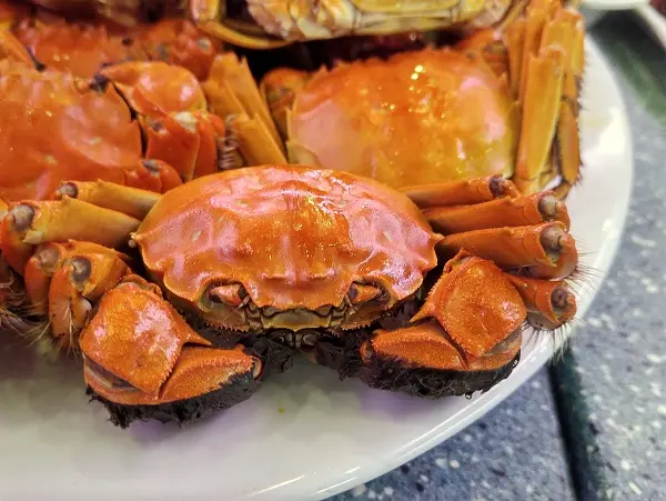 大閘蟹