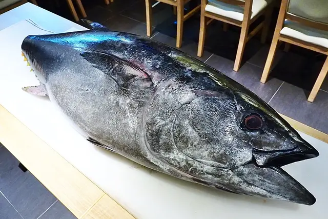 原條空運的「黃鰭吞拿魚」