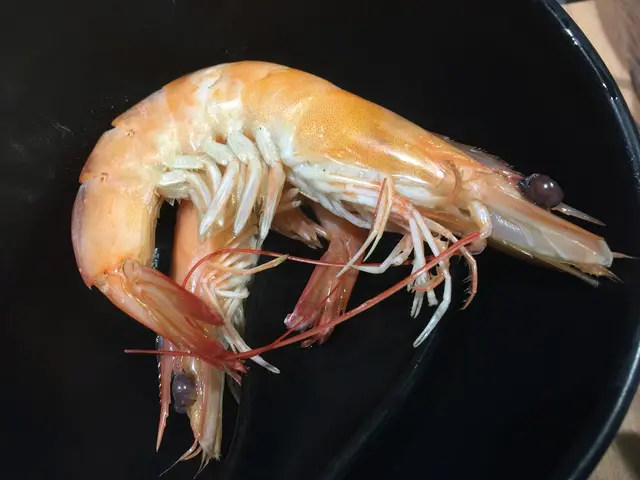 都幾大隻,
肉質紮實而爽口彈牙,鮮甜美味。😋