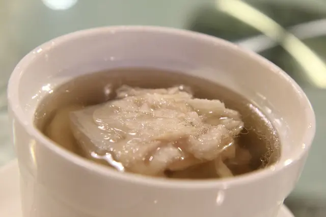 原盅燉川貝陳皮海底椰鱷魚肉湯