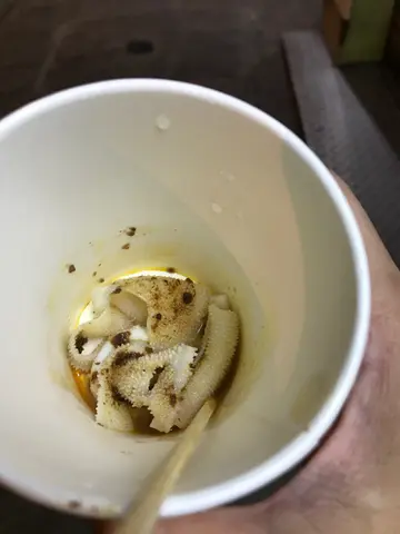   牛柏叶