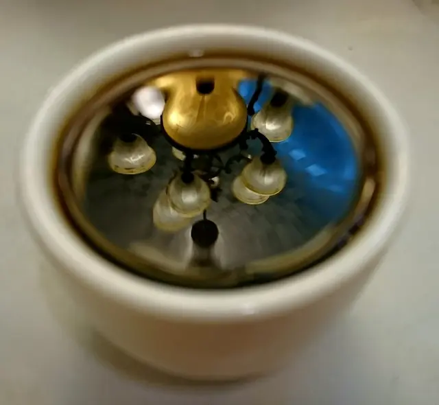 普渳陳茶