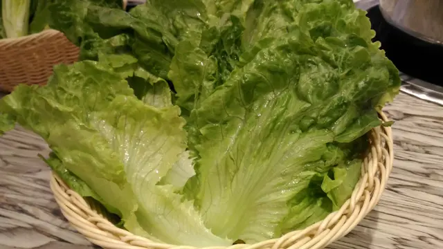 生菜