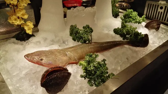 即日鮮 - 牛鰍魚