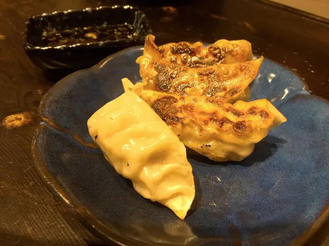 餃子隻隻都漲卜卜, 塊皮無穿窿