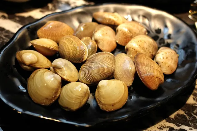 花蛤皇、鑽石蜆、胭脂蚌(每款3隻)