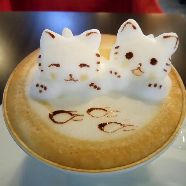 3D Cappuccino