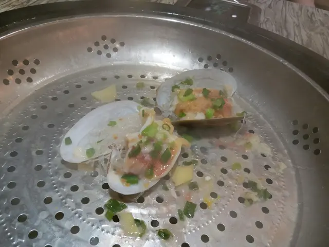 象拔蚌