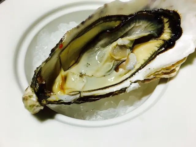生蠔