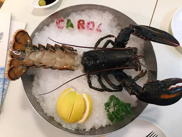 鮮活波士頓龍蝦刺身